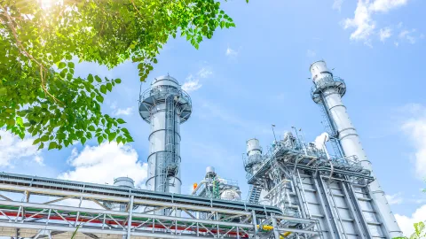 Power Plant with Tree